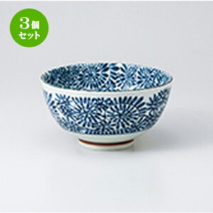 3Zbg   ^R yʘij [ 16.0 x 8.5cm n | Ԃ JtF  [  ǂ {E H Ɩp HX JtF    킢 Mtg v[g 