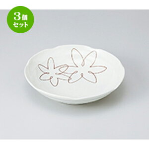 3Zbg  apX^M  䂤6.8[M [ 20.5 x 5cm n | pX^ pX^M J[M pX^{E H Ɩp HX JtF    킢   Mtg v[