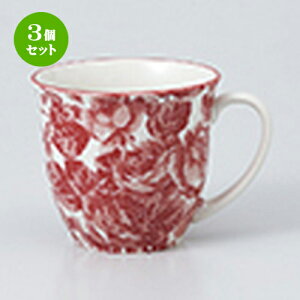 3Zbg }O  yTL}O XJ[bgiԁj [ 9.2 x 8.2cm E 300cc n | }O }OJbv R[q[ g eB[ lC  H mH Ɩp HX JtF   Mtg v[