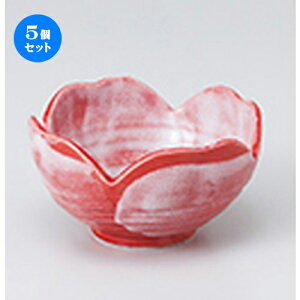 5Zbg   ԍюlcRij m 10.3 x 5.7cm n |     {E \ lC  H Ɩp HX JtF    킢 Mtg v[gj 