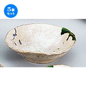 5Zbg aI[v  D 5.5hg [ 17.5 x 17 x 5.5cm ] | lC  H Ɩp HX JtF    킢 Mtg v[g o a 蕨 i 