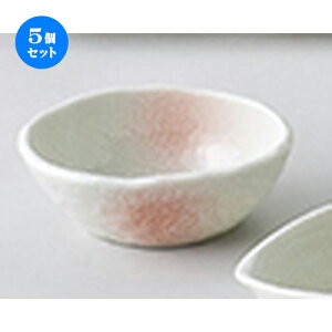 5Zbg aI[v   M^t [ 10.5 x 8.3 x 4cm ] | aH   {E  ze H Ɩp HX JtF    킢 Mtg v[g j a 