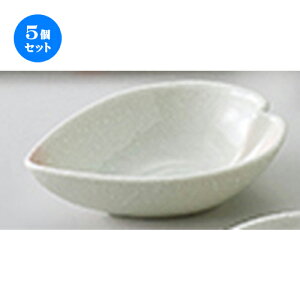 5Zbg aI[v   攫 [ 13.3 x 10 x 4cm ] |     {E \ lC  H Ɩp HX JtF    킢 Mtg v[gj