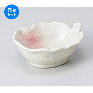 5Zbg  t t^t [ 10 x 8 x 4.2cm ] | aH   {E  ze H Ɩp HX JtF    킢 Mtg v[g j a 蕨 