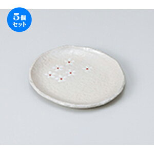 5Zbg aM  ԃg[iSj [ 13.5 x 12.7 x 1.3cm n | lC  H Ɩp HX JtF    킢 Mtg v[g o a 蕨 i H