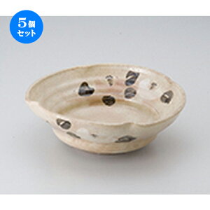 5Zbg  p  ֕؉Z [ 19 x 20.5 x 6.8cm n |   蔫 {E   lC H Ɩp HX JtF    킢  Mtg v[g 