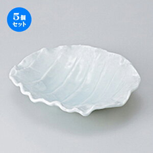 5Zbg  p  b`7 [ 22 x 21 x 5.5cm n |   蔫 {E   lC H Ɩp HX JtF    킢  Mtg v[g 