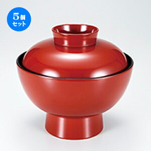 5Zbg r阥  m 155 x h 140mm n | d V V  ǂ   v[g Mtg j o j JXj ސEj i 蕨 lC ʔ  킢