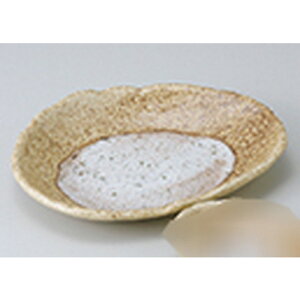 hg ɉꕗѕό`M m 20 x 16 x 3.3cm n | aH hg  {E  ze H Ɩp HX JtF    킢 Mtg v[g j a 蕨 i 