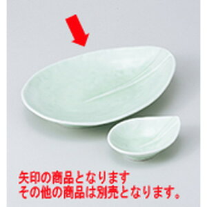 hg  hgM m 21.5 x 15.2 x 3.7cm n | aH hg  {E  ze H Ɩp HX JtF    킢 Mtg v[g j a 蕨 i