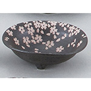 aI[v Vډԍ Ob [ 14.5 x 4cm ] |   蔫 {E   lC H Ɩp HX JtF    킢  Mtg v[g o j