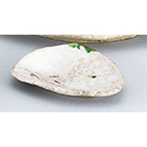 aI[v D 5.0OM [ 16 x 13.5 x 2.5cm ] | M fU[gM M lC  H Ɩp HX JtF    킢 Mtg v[g o a 