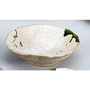 aI[v D 5.5hg [ 17.5 x 17 x 5.5cm ] | aH hg  {E  ze H Ɩp HX JtF    킢 Mtg v[g j a 蕨 