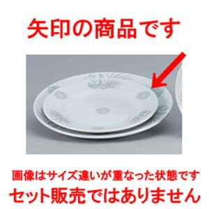 ؃I[v k ʟ7 1/2~[gM [ 19.2 x 2.0cm ] | ێM v[g C P[L fU[g `[n [ lC  H  ѓX ؐH Ɩp HX JtF 