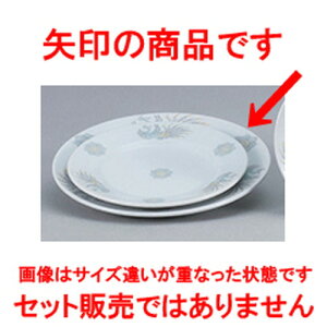 ؃I[v k ʟ9D~[gM [ 23.2 x 2.4cm ] | ێM v[g C P[L fU[g `[n [ lC  H  ѓX ؐH Ɩp HX JtF  