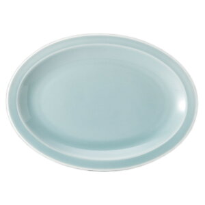  10Dv^? [ 26.4 x 19 x 2.5cm ] | ȉ~ v^[ Lq  lC  H  ѓX ؐH Ɩp HX JtF    킢 Mtg v[g o a