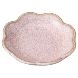 sN̂ Ԍ^v[g10c [ 10.5 x 10.5 x 2cm ] | M |  lC H Ɩp HX JtF   킢  Mtg v[g o j a