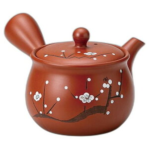 RD܌`~₩ [ 10 x 10 x 9cm 330cc ]튊 | }{ |  lC H Ɩp HX JtF   킢  Mtg v[g o j a