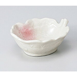 t t^t m 10 x 8 x 4.2cm n | aH   {E  ze H Ɩp HX JtF    킢 Mtg v[g j a 蕨 i 