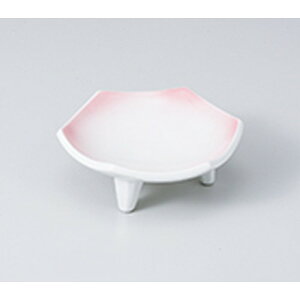 t sNObZpM m 10.7 x 10 x 4.2cm n | aH   {E  ze H Ɩp HX JtF    킢 Mtg v[g j a 蕨 