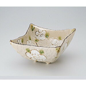 p iq6.5p[ m 20 x 20 x 11cm n |   蔫 {E   lC H Ɩp HX JtF    킢  Mtg v[g o j 