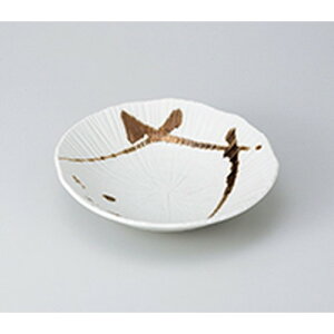 apX^M F@唫 m 22.5 x 24 x 5.5cm n | pX^ pX^M J[M pX^{E H Ɩp HX JtF    킢   Mtg v[g o