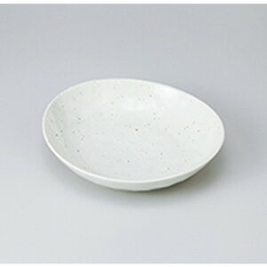 apX^M ᕲ ȉ~21J[M m 21 x 20.3 x 4.6cm n | pX^ pX^M J[M pX^{E H Ɩp HX JtF    킢   Mtg v[g 