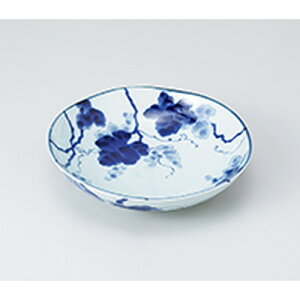 apX^M Ԃǂ 6.8ˎM m 21.2 x 5.2cm n | pX^ pX^M J[M pX^{E H Ɩp HX JtF    킢   Mtg v[g o