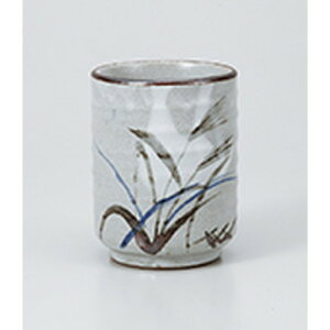 i ÃXXLi [ 8 x 10.4cm 340cc ] |  ̂  i ̂ lC  H Ɩp HX JtF    킢 Mtg v[g o a 