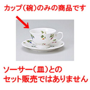 qM t[chpR[q[q [ q 9.7 x 6cm 200cc ] | R[q[ Jbv eB[ g i qM lC  H mH Ɩp HX JtF    킢 Mtg v