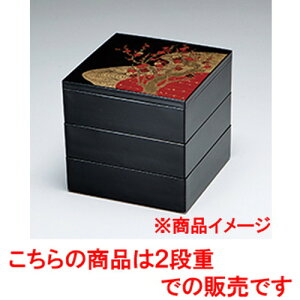 6.5ʏd  Ԕ~ 2i m 196 x 196 x h 125mm n | ԓ ٓ  U   lC H Ɩp HX JtF    킢  Mtg v[g o j 