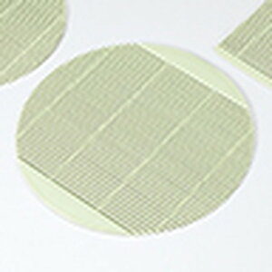 PP|X 195 m 195mm n |   ǂ oO aH p[eB  lC H Ɩp HX JtF    킢  Mtg v[g o j j a