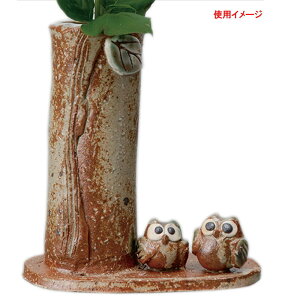 u ӂ낤X^h [12.3cm] | HX JtF    킢 Mtg v[g hV̓ a 蕨 i ̓ ̓ hV̓