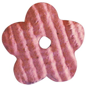   J[ʁiBj [a2.3cm] | HX JtF    킢 Mtg v[g hV̓ a 蕨 i ̓ ̓ hV̓