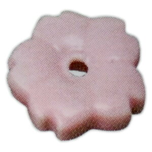  lG̉ ʁiCj [a2.5?a3cm] | HX JtF    킢 Mtg v[g hV̓ a 蕨 i ̓ ̓ hV̓