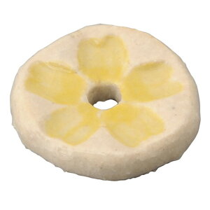    iAjF [a2cm] | HX JtF    킢 Mtg v[g hV̓ a 蕨 i ̓ ̓ hV̓