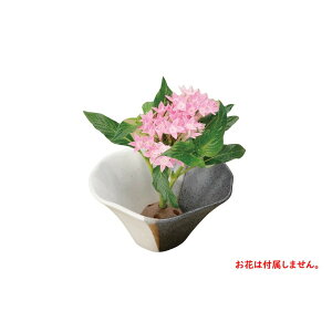 Ԋ h Ԍ^Ԋ [a12.5×7cm] | HX JtF    킢 Mtg v[g hV̓ a 蕨 i ̓ ̓ hV̓