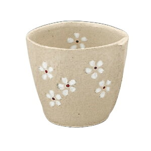 t[Jbv ԃJbv ijiԁj [a8.5×7.5cmE240cc] | HX JtF    킢 Mtg v[g hV̓ a 蕨 i ̓ ̓ hV̓