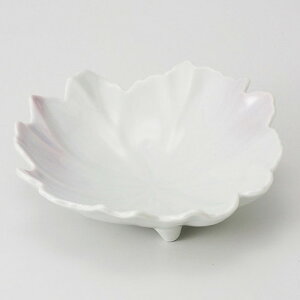  t   t^ [ 17.5 x 17 x 5.7cm 270g ] | aH   {E   ze H Ɩp HX JtF    킢 Mtg v[g j a 蕨 