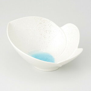  t  X^[u[ H^ [ 18.3 x 15 x 7.7cm 300g ] | aH   {E   ze H Ɩp HX JtF    킢 Mtg v[g j a 