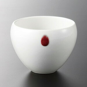  It  g t [ 8 x 6cm 120g ] | aH   {E  ze H Ɩp HX JtF    킢 Mtg v[g j a 蕨 i 