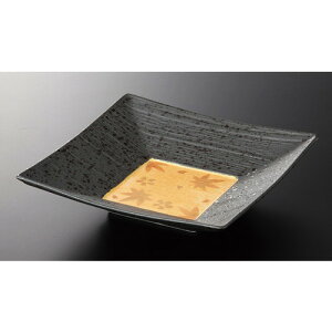  It  ʏtH p6.0M [ 18 x 18 x 4cm 430g ] | aH   {E   ze H Ɩp HX JtF    킢 Mtg v[g j a 