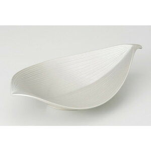  t   t^8.5t [ 25.5 x 14.8 x 5.6cm 310g ] | aH   {E   ze H Ɩp HX JtF    킢 Mtg v[g j a 蕨