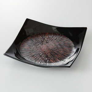  pM  Vڗ p5.5M [ 17.1 x 17.1 x 3.2cm 360g ] | p pM XNGA H Ɩp HX JtF    킢 Mtg v[g o j j a 