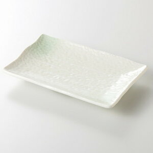  ĕM  O[ 6.0ĕM [ 18 x 12 x 2.5cm 356g ] | ĂM Xe[LM T} Ă H Ɩp HX JtF    킢  Mtg v[g o 