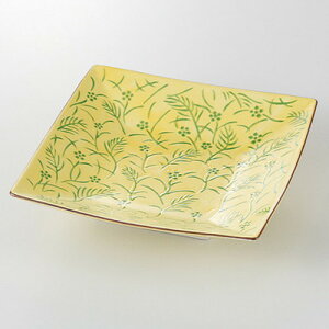  O؎M  ᑐ paM [ 15 x 15 x 3.9cm 330g ] | p pM XNGA H Ɩp HX JtF    킢 Mtg v[g o j j a 蕨 