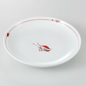 M   5.0M [ 16.4 x 2.8cm 255g ] | M t[cM َqM H Ɩp HX JtF    킢  Mtg v[g o j j a