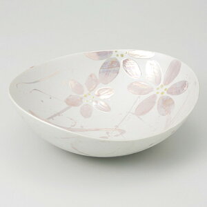  ϕ  p[ԊG ȉ~ [ 23 x 20.1 x 8cm 625g ] | 蔫  \ 蔫  H Ɩp HX JtF    킢    킢 