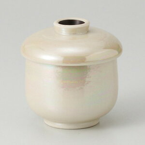  zq  X^[ q [ 6.9 x 8cm 160g ] | ϕ z   B q lC  H Ɩp HX JtF    킢 Mtg v[g o a 