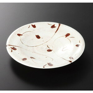  IM  іڃTr 4D5M [ 15 x 18cm 239g ] | M t[cM َqM H Ɩp HX JtF    킢  Mtg v[g o j 